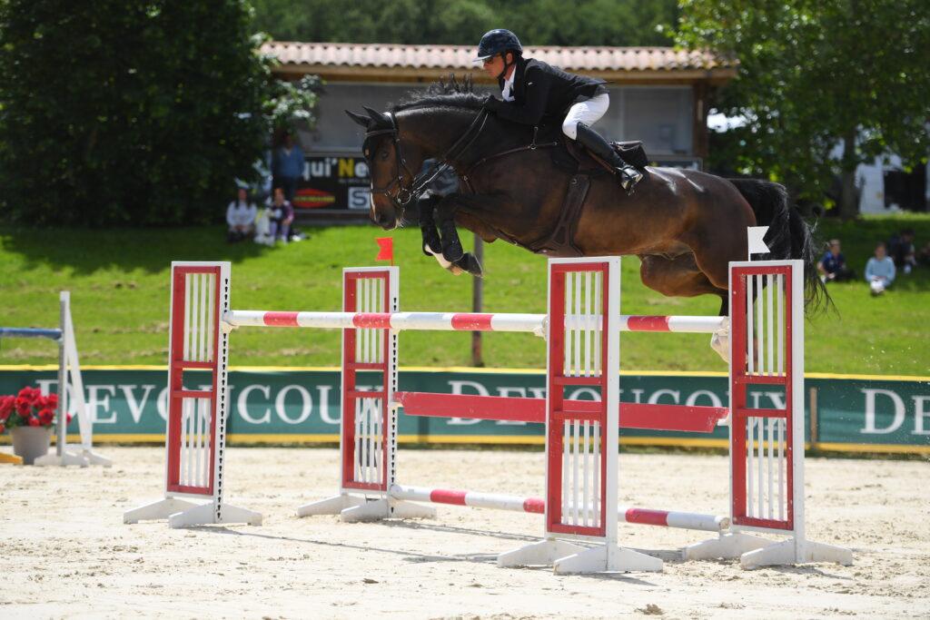 Ecurie toulouse Pension chevaux Toulouse pensions chevaux pensions chevaux montjoire Ecurie sport pension pré Toulouse