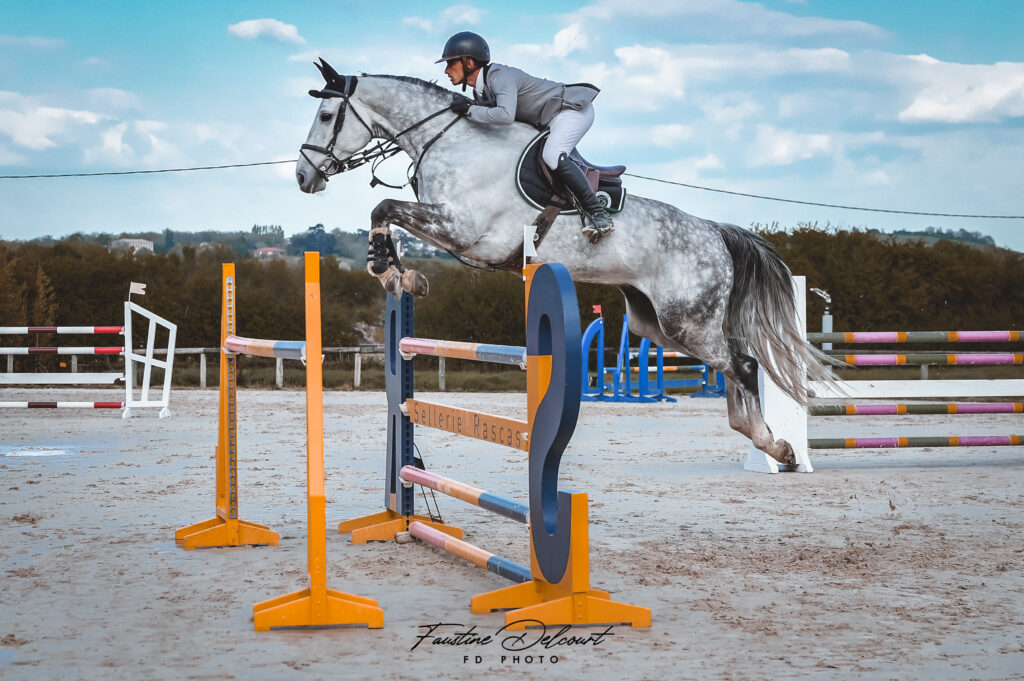 Ecurie toulouse Pension chevaux Toulouse pensions chevaux pensions chevaux montjoire Ecurie sport pension pré Toulouse