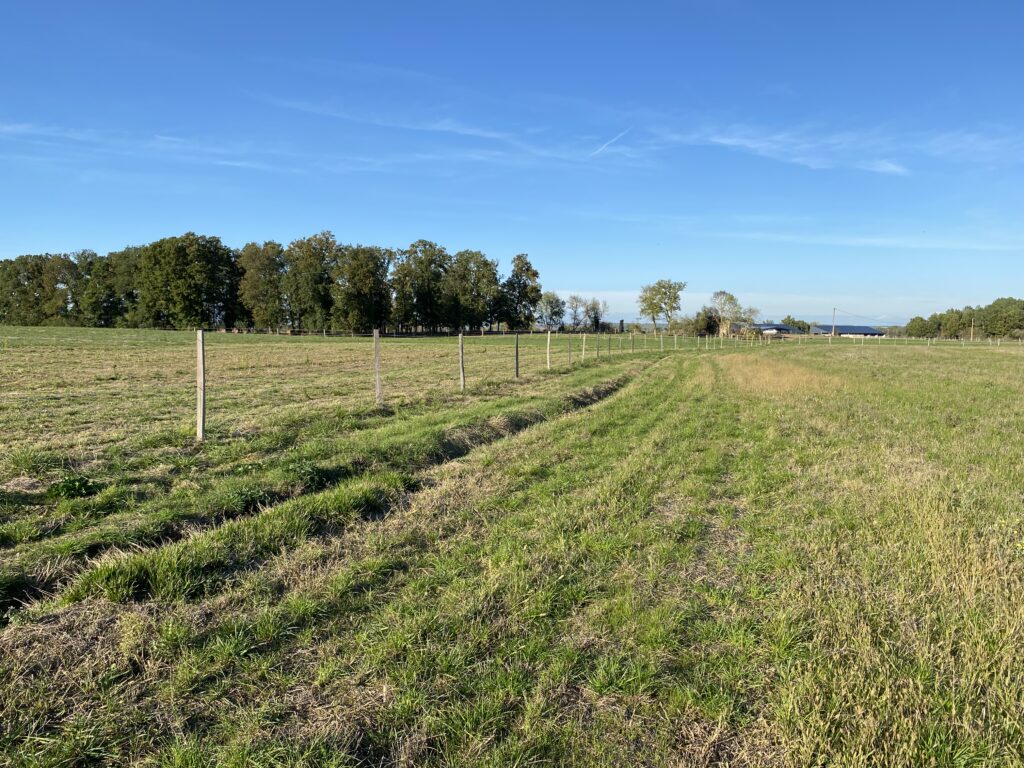 Ecurie toulouse Pension chevaux Toulouse pensions chevaux pensions chevaux montjoire Ecurie sport pension pré Toulouse